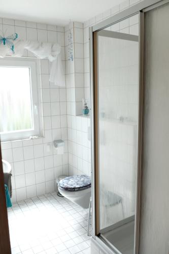 a white bathroom with a shower and a toilet at Ferienwohnung Haus Schmitt in Winterberg