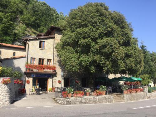 un edificio con un árbol frente a una calle en Albergo Bellavista, en Chiusi della Verna