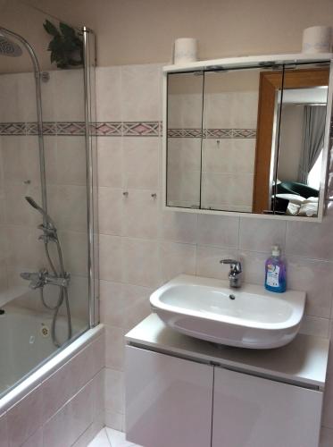 a bathroom with a sink and a shower and a mirror at Hotel U Zlateho Andela in Pardubice