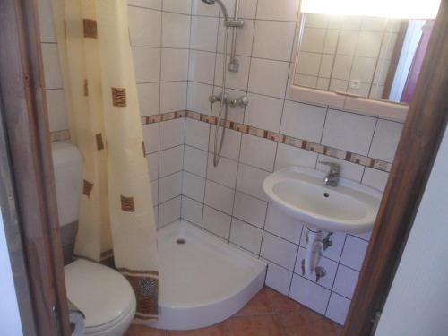 a bathroom with a toilet and a sink at Famvarga Apartmanház in Balatonfenyves