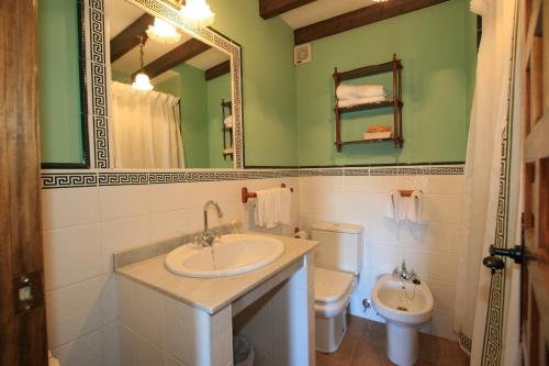 a bathroom with a sink and a toilet and a mirror at Posada La Colodra in Los Tojos