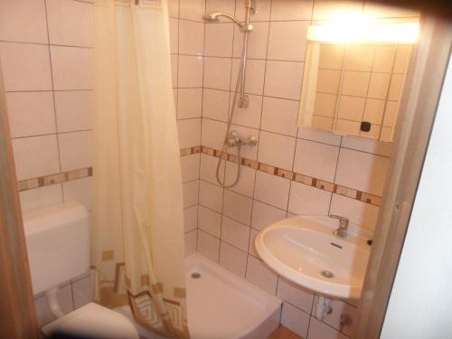 a bathroom with a sink and a toilet and a shower at Famvarga Apartmanház in Balatonfenyves