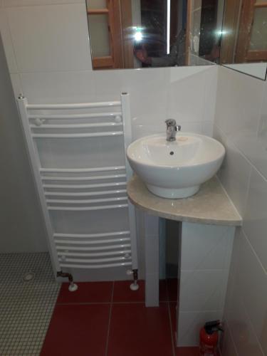 uma casa de banho com um lavatório branco e um espelho. em Dworek Cicha Noc em Tarnowo Podgórne
