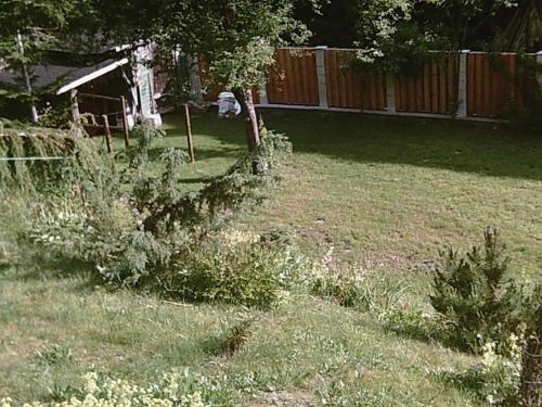 a yard with a fence and some grass at Altes Forsthaus am Bach in Altaussee