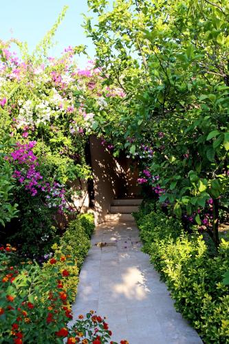 Jardín al aire libre en Nerissa Hotel