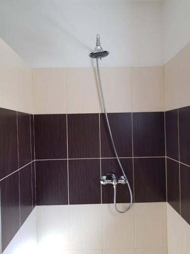 a shower with a shower head in a bathroom at Penzion Cerhenice in Cerhenice