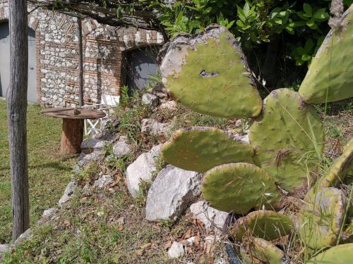 Gallery image of Sul Colle in Moricone