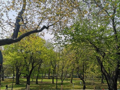 a park with trees and people walking in the grass at Accueil Chez Francois in Montréal