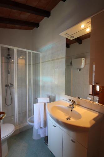 a bathroom with a sink and a shower and a toilet at Il Viaggiolo in Foiano della Chiana