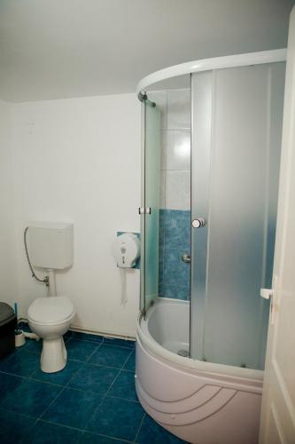 a bathroom with a toilet and a glass shower at Giandra Resort in Turda