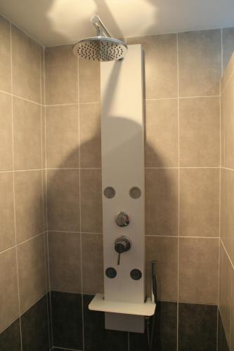 La salle de bains est pourvue d'une douche et d'un miroir. dans l'établissement Le gîte des Aulnettes, à Montolivet