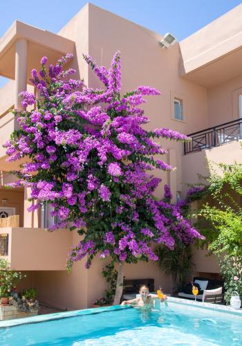 Πισίνα στο ή κοντά στο Solon Apartment