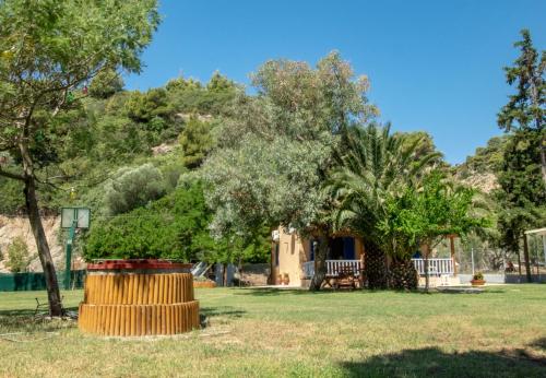 Κήπος έξω από το Salty Paradise House