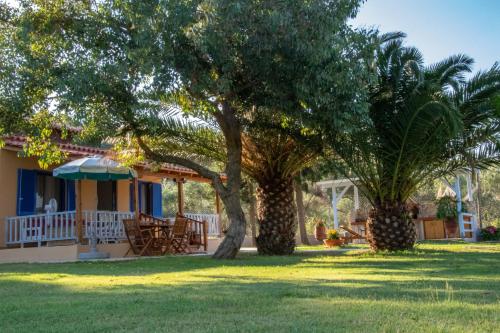 Κήπος έξω από το Salty Paradise House