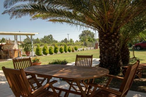Κήπος έξω από το Salty Paradise House