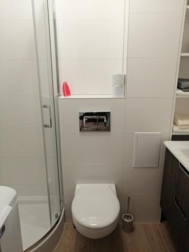 a white bathroom with a toilet and a shower at Mieszkanie Świdnik in Świdnik