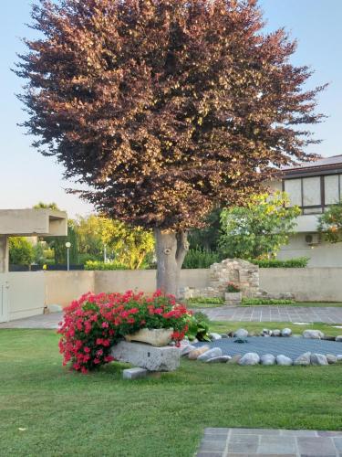 a tree in a yard with flowers in the grass at Il giardinetto in Premariacco