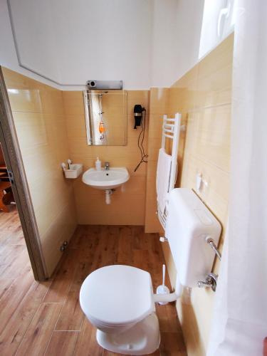 a small bathroom with a toilet and a sink at Air&Day in Vecsés