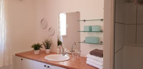 uma casa de banho com um lavatório e um espelho em Chambres d'hôtes Caseddu Di Poggiale em Figari