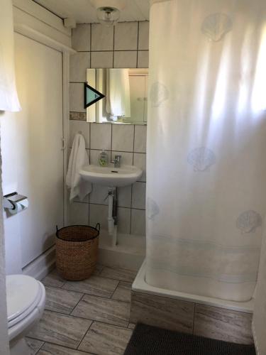 uma casa de banho com um lavatório, um WC e um chuveiro em Route des Joncs 300 Appartemen em Les Paccots