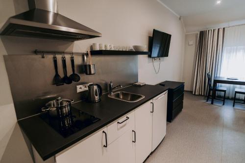 Dapur atau dapur kecil di Jaunāmuiža Apartamenti