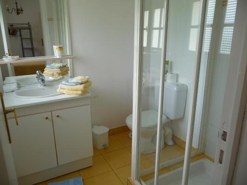 a bathroom with a toilet and a sink and a shower at LE BOUT DE LA VILLE in Hirel