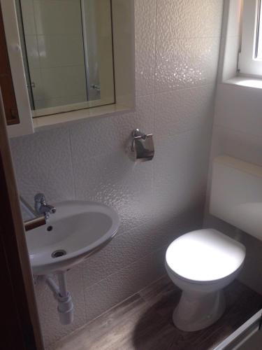 a bathroom with a white toilet and a sink at Villa M - 4 Persons Apartment, Put in Ljubač