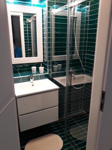 a bathroom with a shower and a sink and a toilet at Apartments Paris in Umag