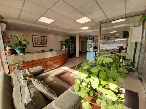 un vestíbulo con un sofá y algunas plantas en él en Nativo Hotel y Cafeteria, en Talca