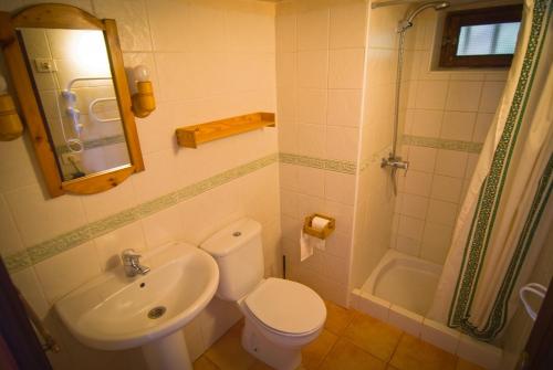 W łazience znajduje się toaleta, umywalka i prysznic. w obiekcie Casa Rural Los Patos w mieście Hermigua