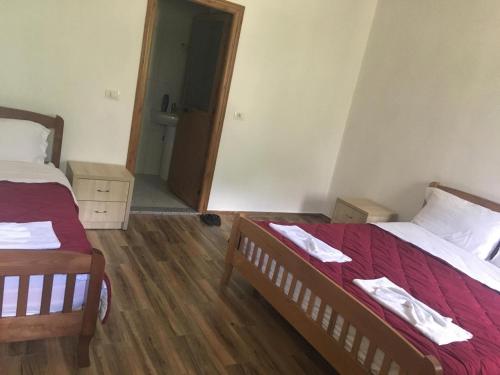 a bedroom with two beds and a door to a hallway at Bujtina Ziçi in Theth