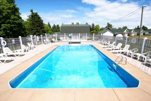 a large swimming pool with chairs at Lakeview Lodge and Cottages in Cavendish