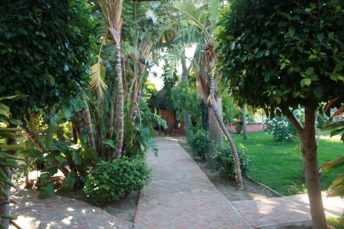 a walkway through a garden with palm trees at 100% Fun in Tarifa