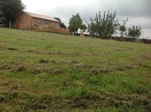 a house on top of a grassy field at Orme View Lodges in Bangor