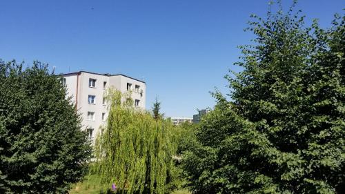 a group of trees in front of a white building at Apartament Turkusowy Ruciane-Nida in Ruciane-Nida