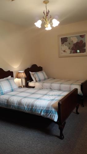 a bedroom with two beds and a chandelier at Swallows Cottage in Swinford