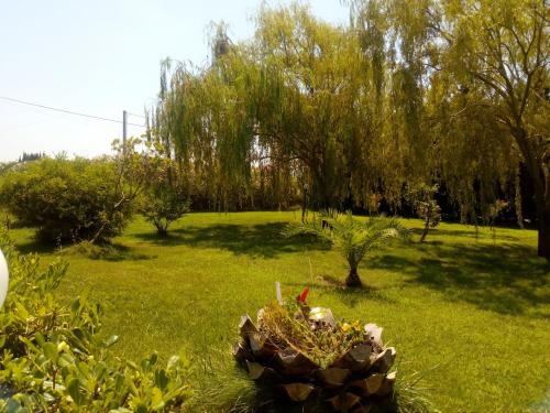 Jardín al aire libre en Le Rose
