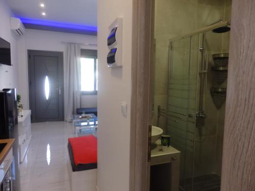 a bathroom with a walk in shower and a room with a sink at George apartments in Kallithea Halkidikis