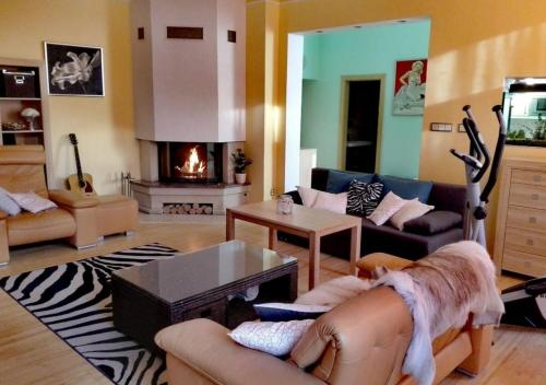 a living room with a couch and a fireplace at Apartment Villa Frank in Mariánské Lázně