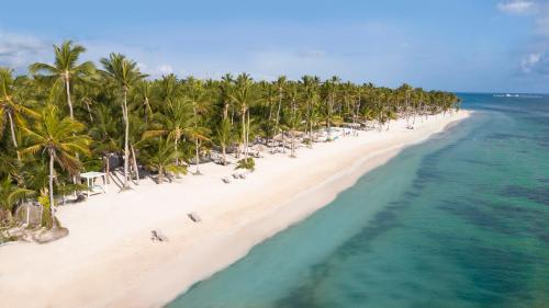 an aerial view of a beach with palm trees and the ocean at Catalonia Royal Bavaro - All Inclusive - Adults Only in Punta Cana