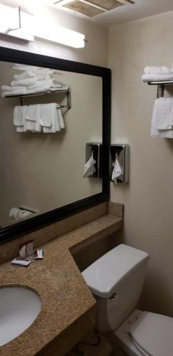 baño con espejo, aseo y lavamanos en MHO Hotel Bordentown, en Bordentown