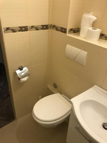 a small bathroom with a toilet and a sink at Apartment Sara M in Gajac