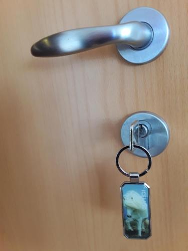 a key chain with a picture of a fish at Guesthouse Vestri-Gardsauki in Hvolsvöllur