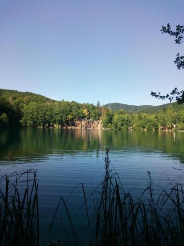a view of a large body of water with trees at Apartment Ivano in Rakovica