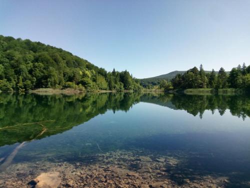 a view of a lake with trees on the shore at Apartment Ivano in Rakovica