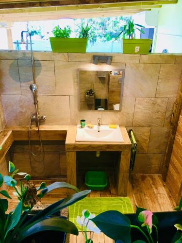 baño con lavabo, espejo y plantas en CHARMANT STUDIO DECOR NATUREL, en Baie-Mahault