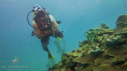a diver in the ocean looking at a reef at Casa Hotel La Mariela in Sapzurro