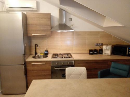 una cucina con frigorifero in acciaio inossidabile e lavandino di A. Einstein 9A Apartament a Cluj-Napoca