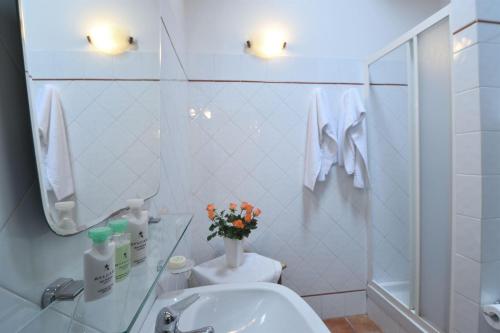 a bathroom with a sink and a toilet and a mirror at Casale Vecchio Fienile in SantʼAppiano
