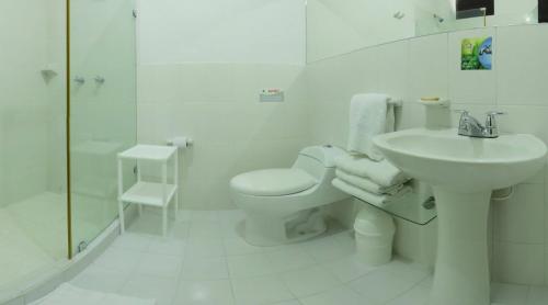 a white bathroom with a toilet and a sink at Hotel Estrella Palmira in Palmira